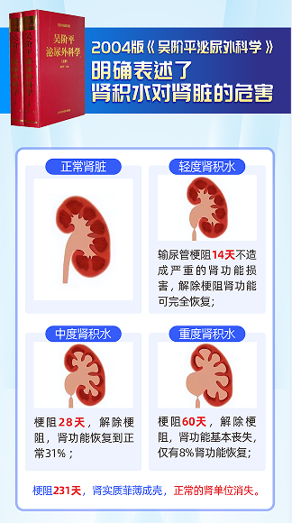 成都肾结石专科医院科普：肾结石是如何导致你的肾脏走向萎缩的？(图3)