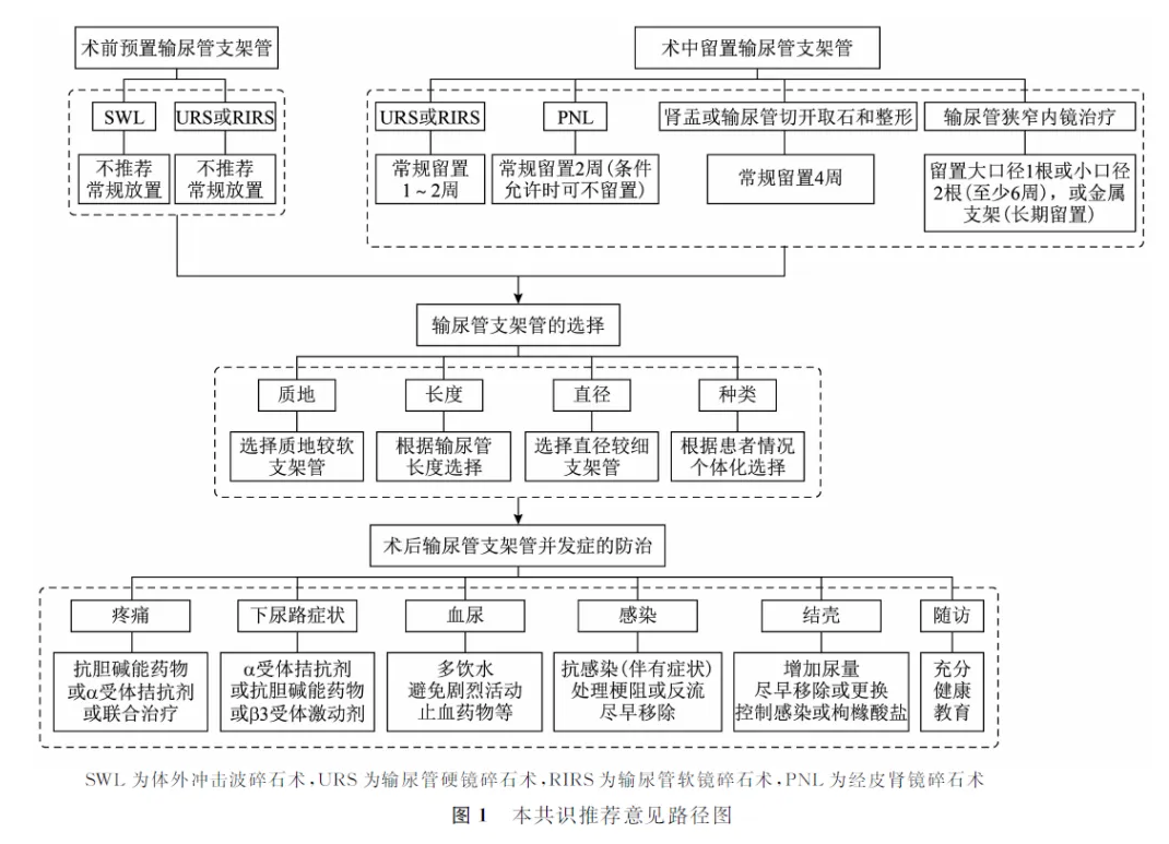 聚焦共识学习赋能：四川结石病医院开展输尿管支架管专家共识解读培训会(图2)