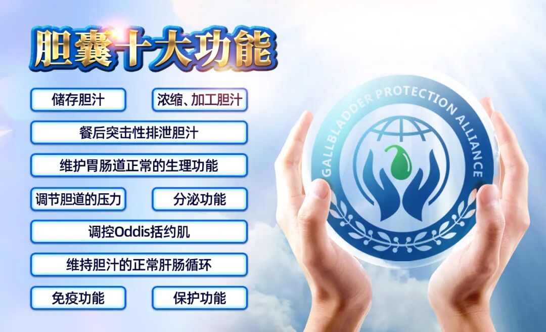 为什么要保胆？5个理由告诉你 | 胆囊健康科普宣传周(图5)